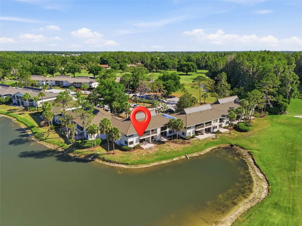 29300 BAY HOLLOW DRIVE #3257 Wesley Chapel, FL 33543