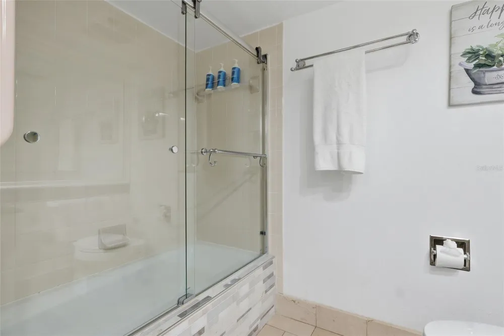 29300 BAY HOLLOW DRIVE #3257 Wesley Chapel, FL 33543