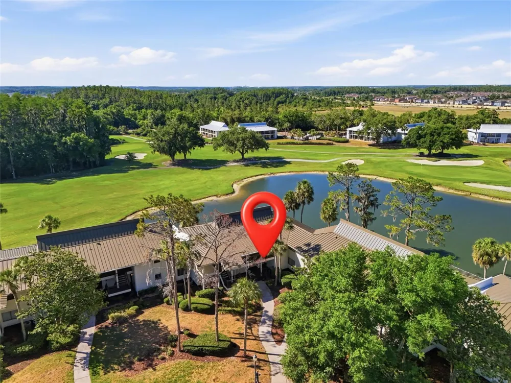 29300 BAY HOLLOW DRIVE #3257 Wesley Chapel, FL 33543