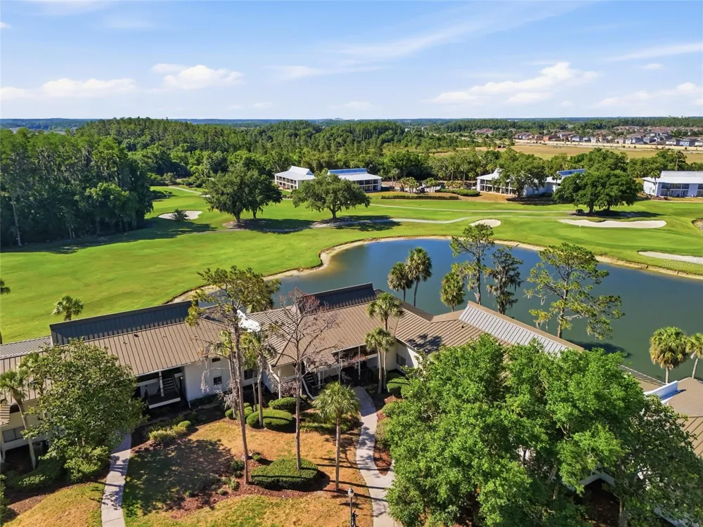 29300 BAY HOLLOW DRIVE #3257 Wesley Chapel, FL 33543