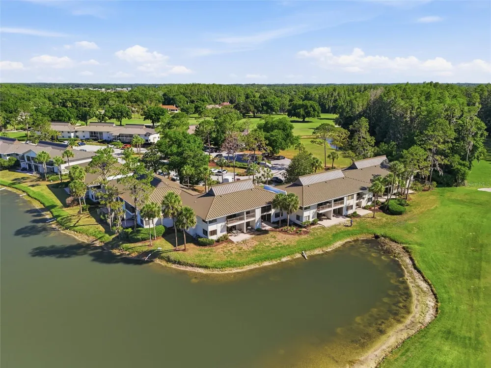 29300 BAY HOLLOW DRIVE #3257 Wesley Chapel, FL 33543