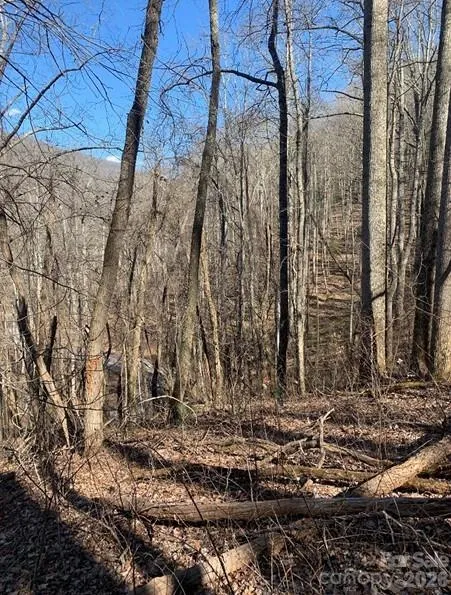 Lot 3 Cedar Mountain Road #3 Asheville, NC 28803