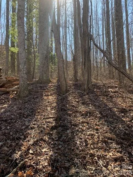 Lot 3 Cedar Mountain Road #3 Asheville, NC 28803