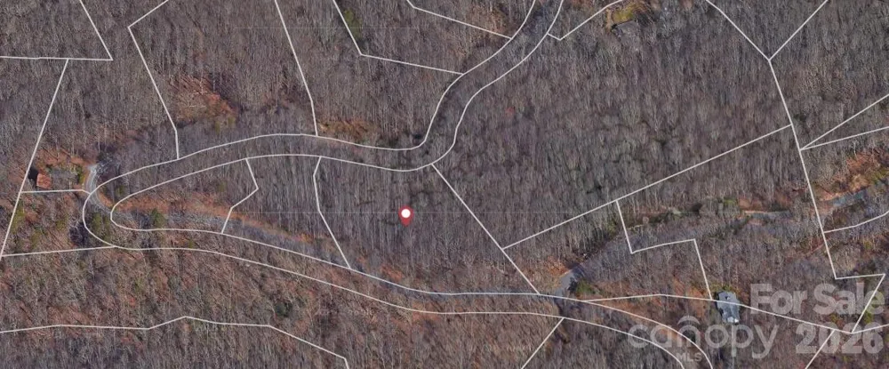 Lot 3 Cedar Mountain Road #3 Asheville, NC 28803