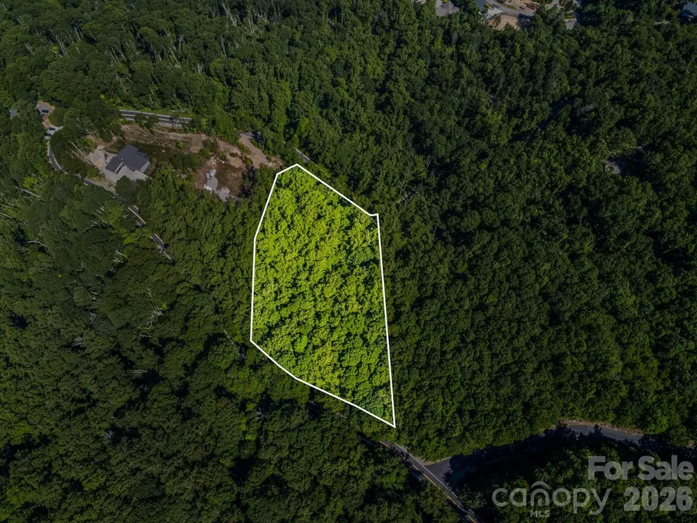 Lot 3 Cedar Mountain Road #3 Asheville, NC 28803