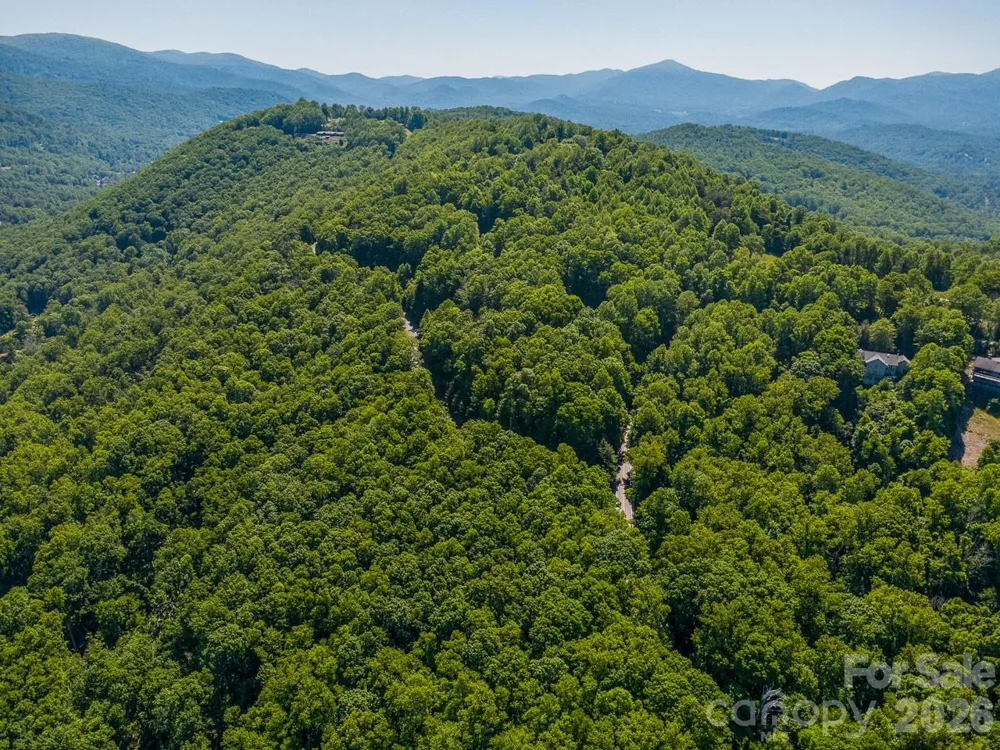 Lot 3 Cedar Mountain Road #3 Asheville, NC 28803