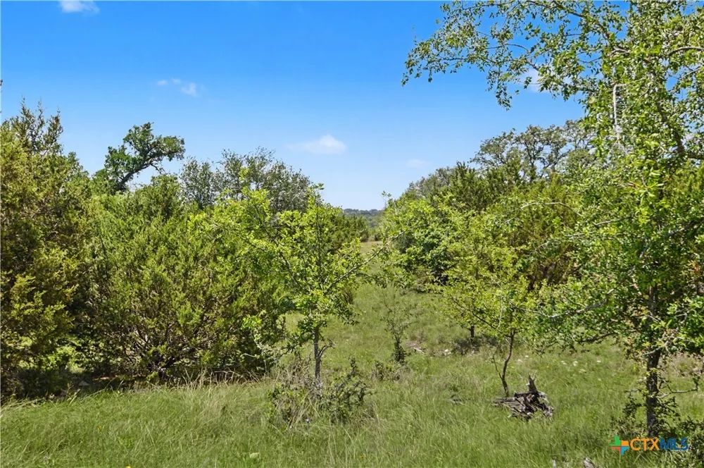 179 E County Road 318 Goldthwaite, TX 76844