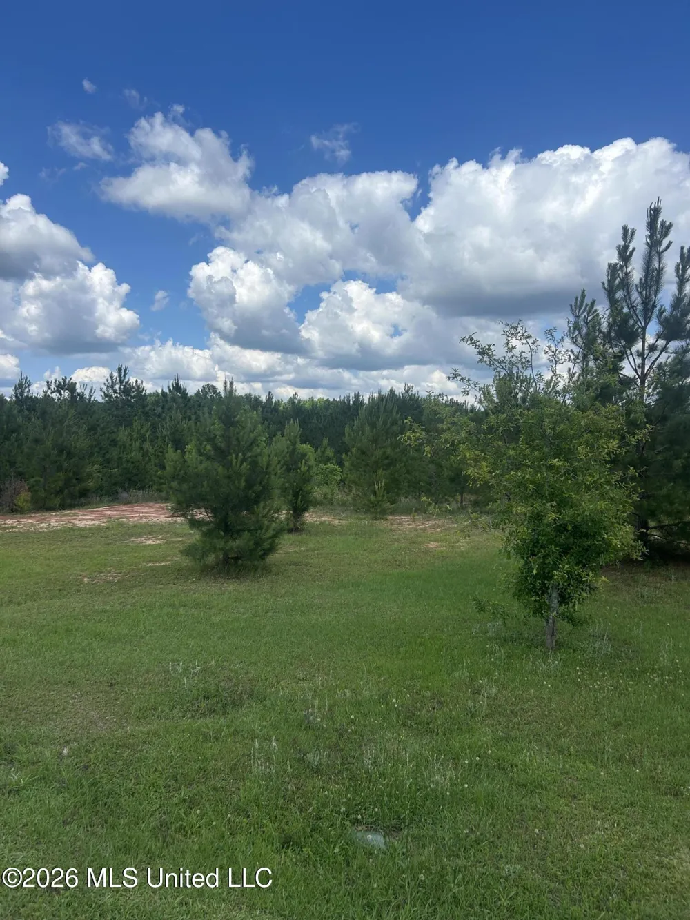 52 Joe Traylor Road Hattiesburg, MS 39402