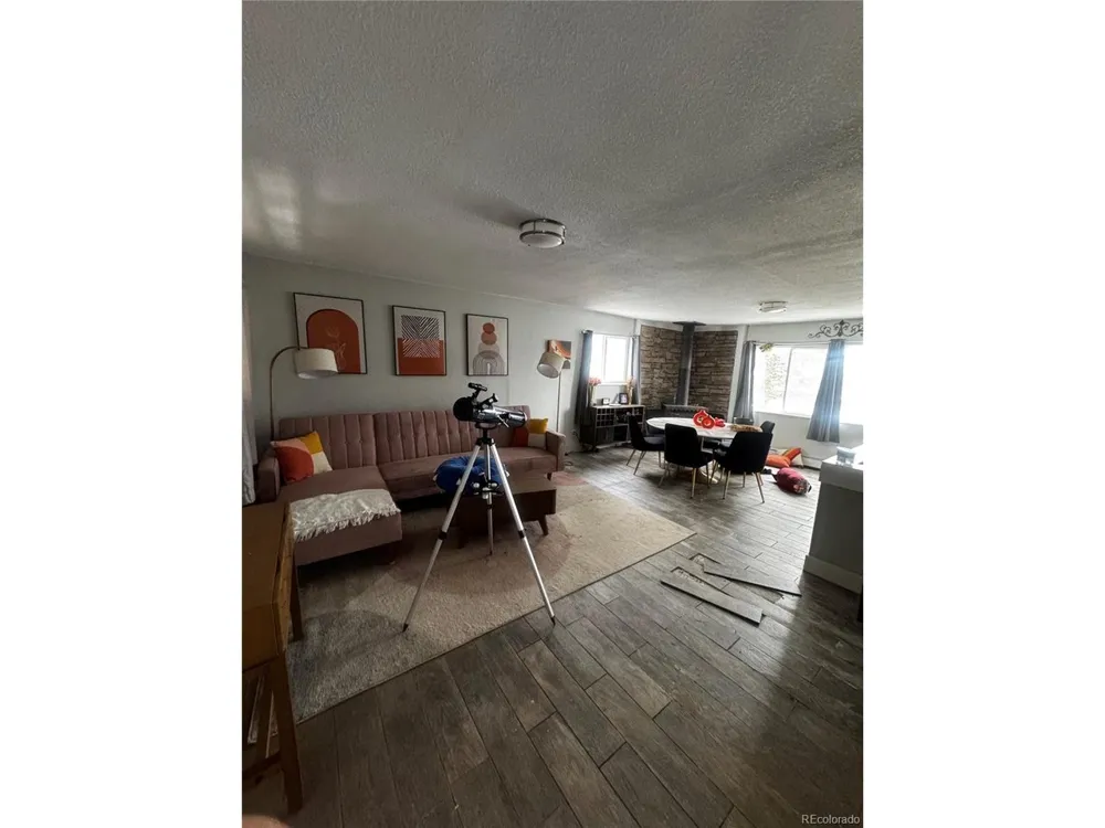 949 S Pine Drive Bailey, CO 80421