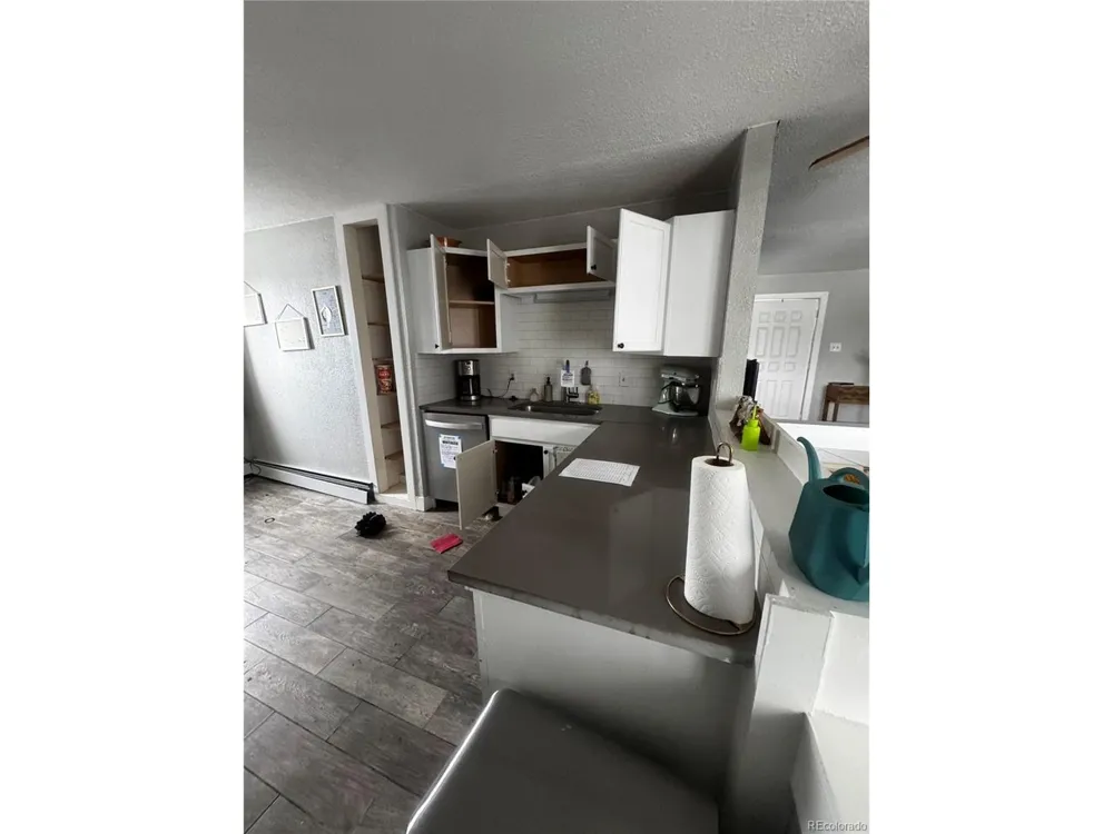 949 S Pine Drive Bailey, CO 80421