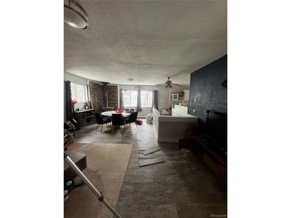 949 S Pine Drive Bailey, CO 80421