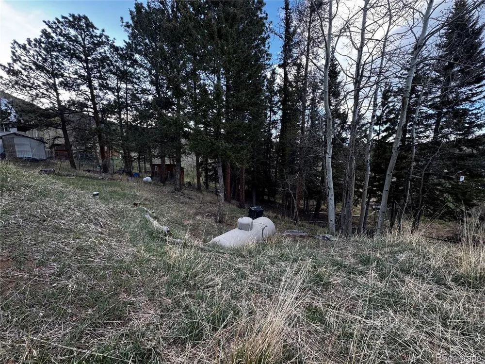 949 S Pine Drive Bailey, CO 80421