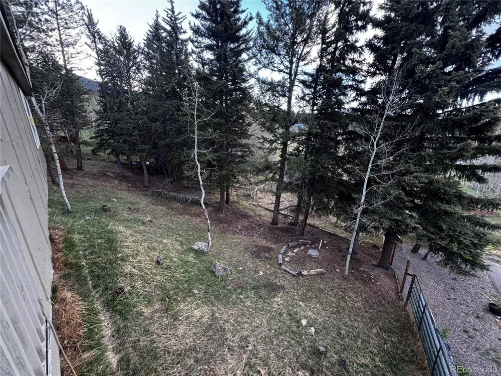 949 S Pine Drive Bailey, CO 80421