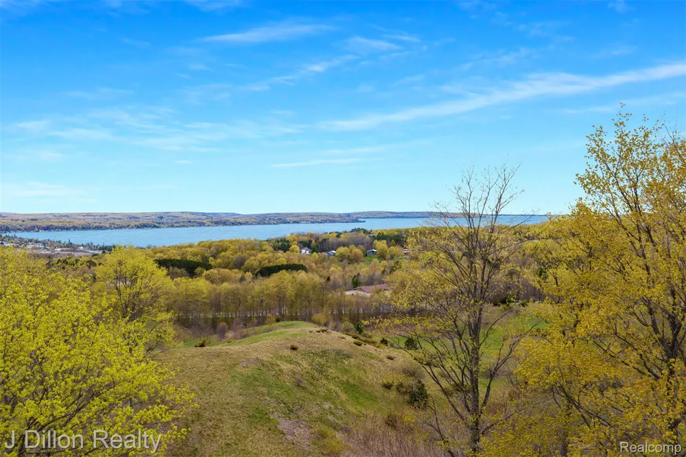 16 Wild Laurel Lane Benzonia Township, MI 49617