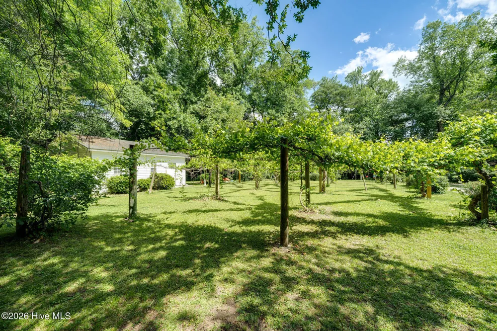 218 Duplin Street Wallace, NC 28466