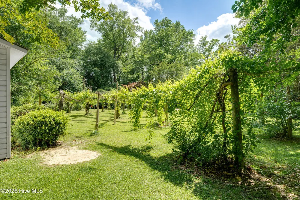 218 Duplin Street Wallace, NC 28466