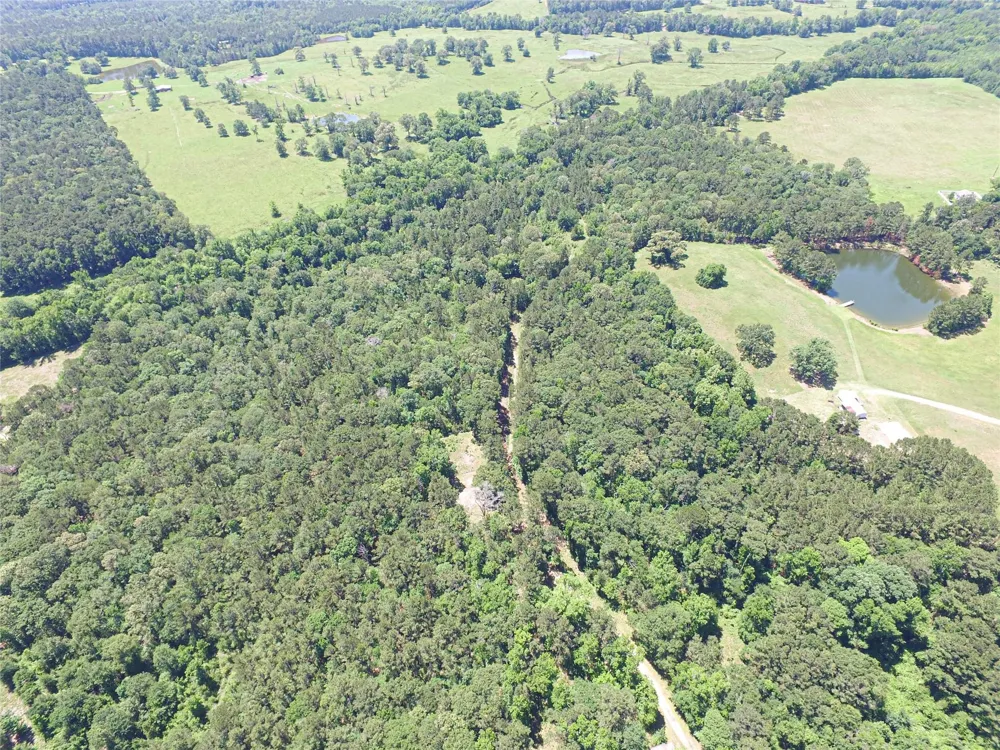 233 Taylor Cemetery Road Moscow, TX 75960