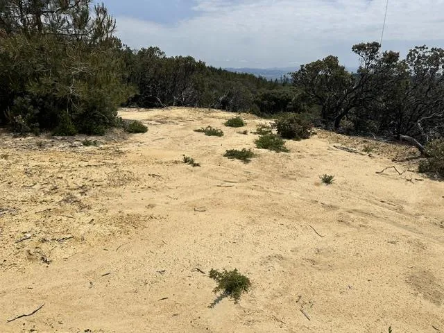 15950 Summit Road Watsonville, CA 95076