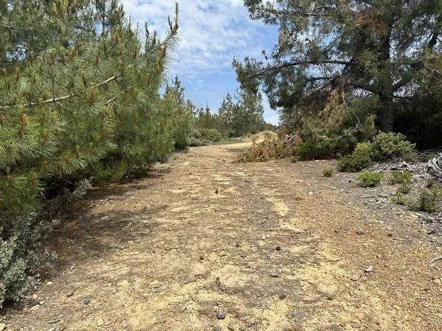 15950 Summit Road Watsonville, CA 95076