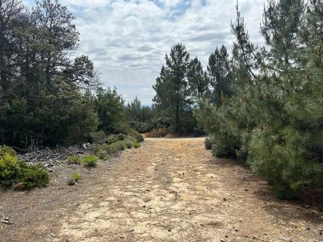 15950 Summit Road Watsonville, CA 95076