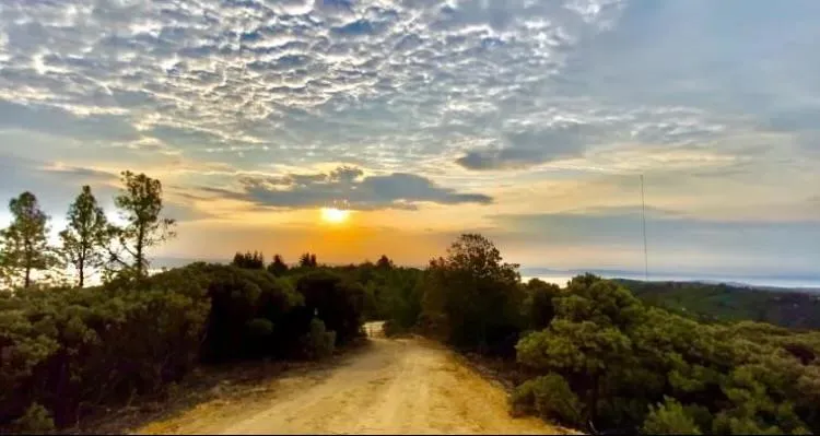 15950 Summit Road Watsonville, CA 95076