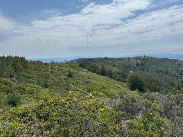 15950 Summit Road Watsonville, CA 95076