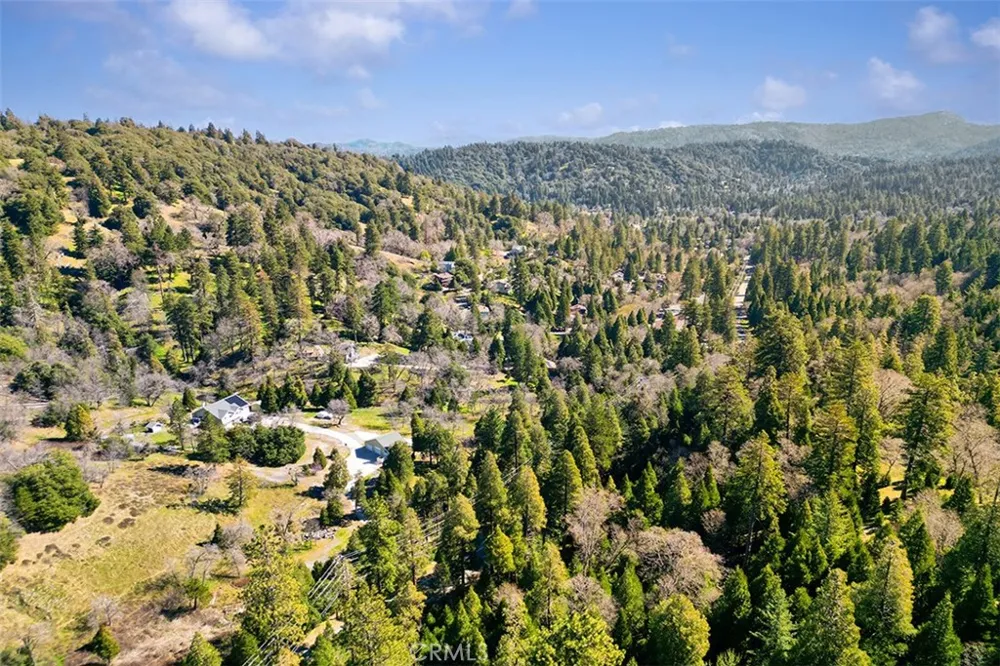 330 Canyon Drive Cedarpines Park, CA 92322