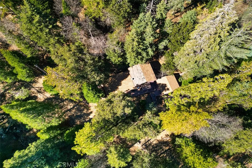 330 Canyon Drive Cedarpines Park, CA 92322
