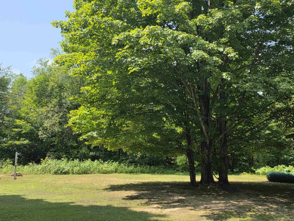 7931 NE Twin Lake Road Coldsprings Township, MI 49659
