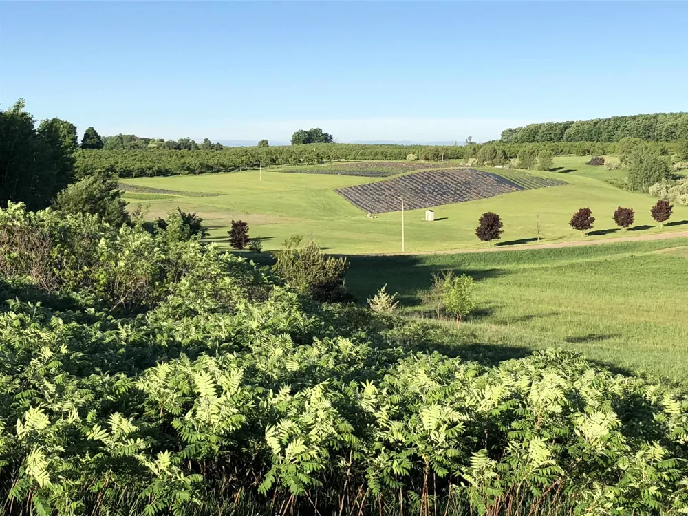 11751 Center Road Peninsula Township, MI 49686