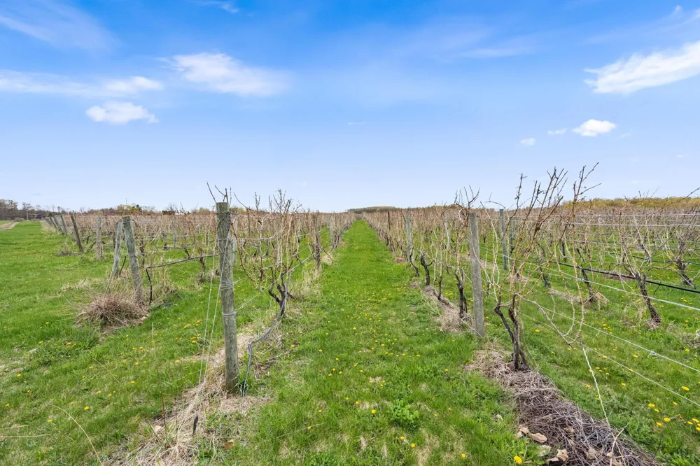 11751 Center Road Peninsula Township, MI 49686
