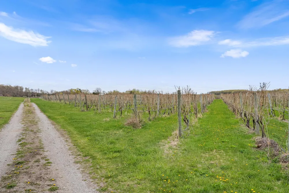 11751 Center Road Peninsula Township, MI 49686