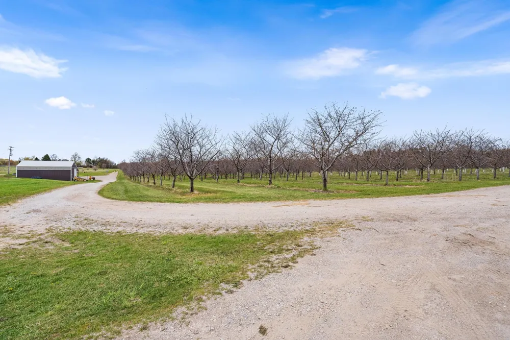 11751 Center Road Peninsula Township, MI 49686