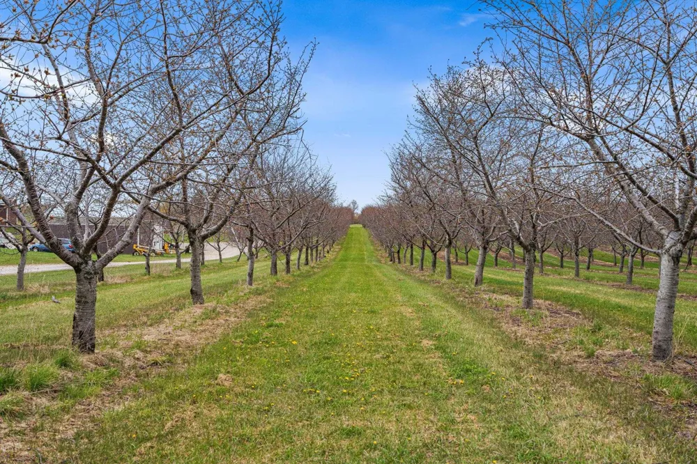 11751 Center Road Peninsula Township, MI 49686