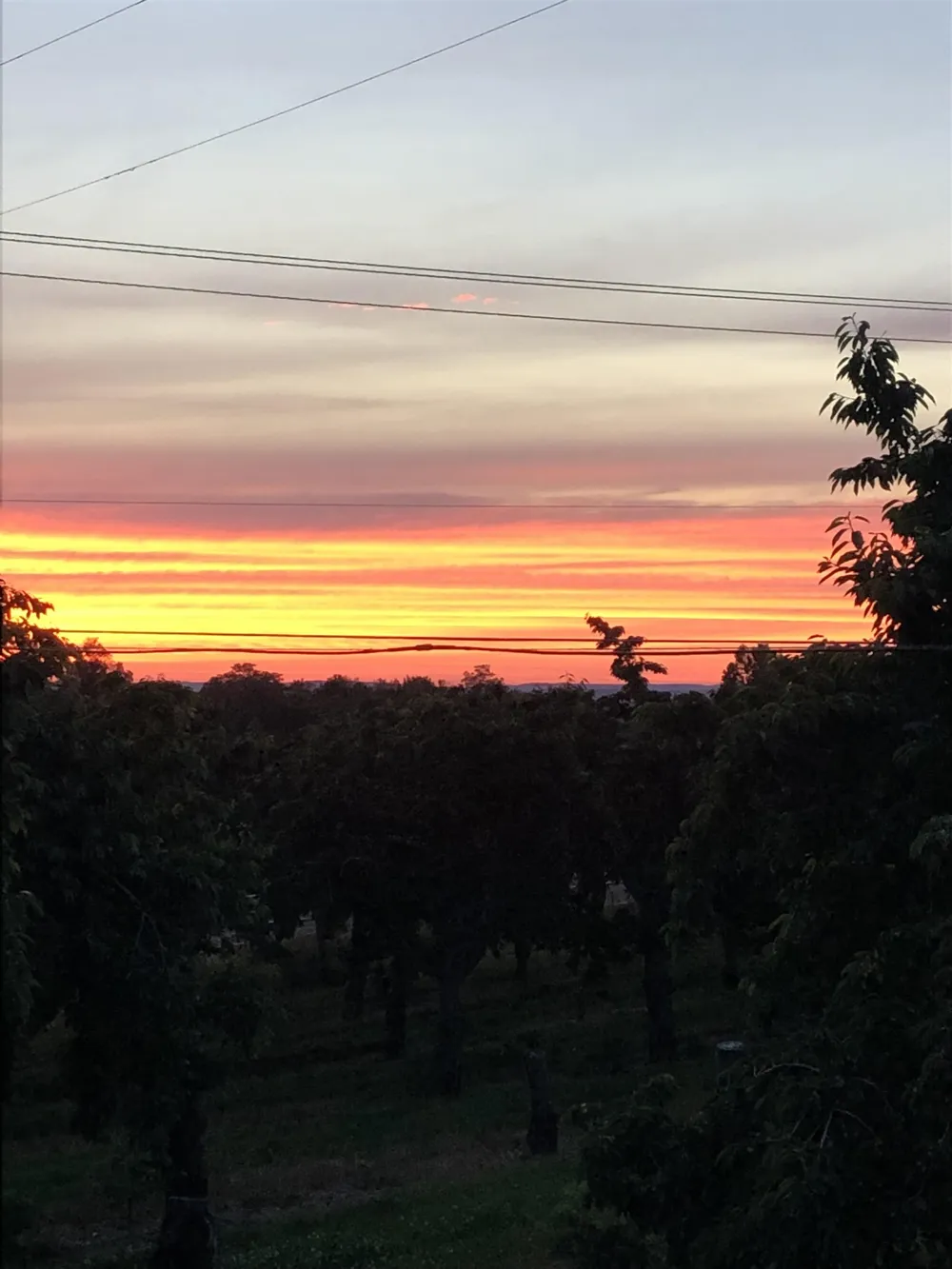 11751 Center Road Peninsula Township, MI 49686