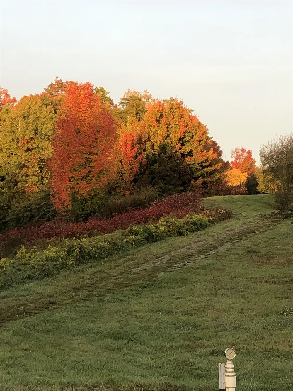 11751 Center Road Peninsula Township, MI 49686