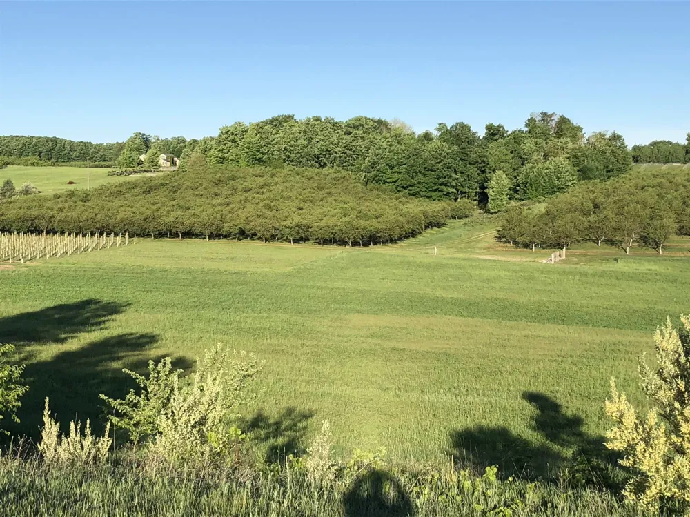 11751 Center Road Peninsula Township, MI 49686