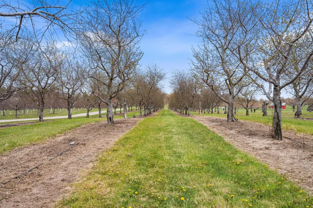 11751 Center Road Peninsula Township, MI 49686