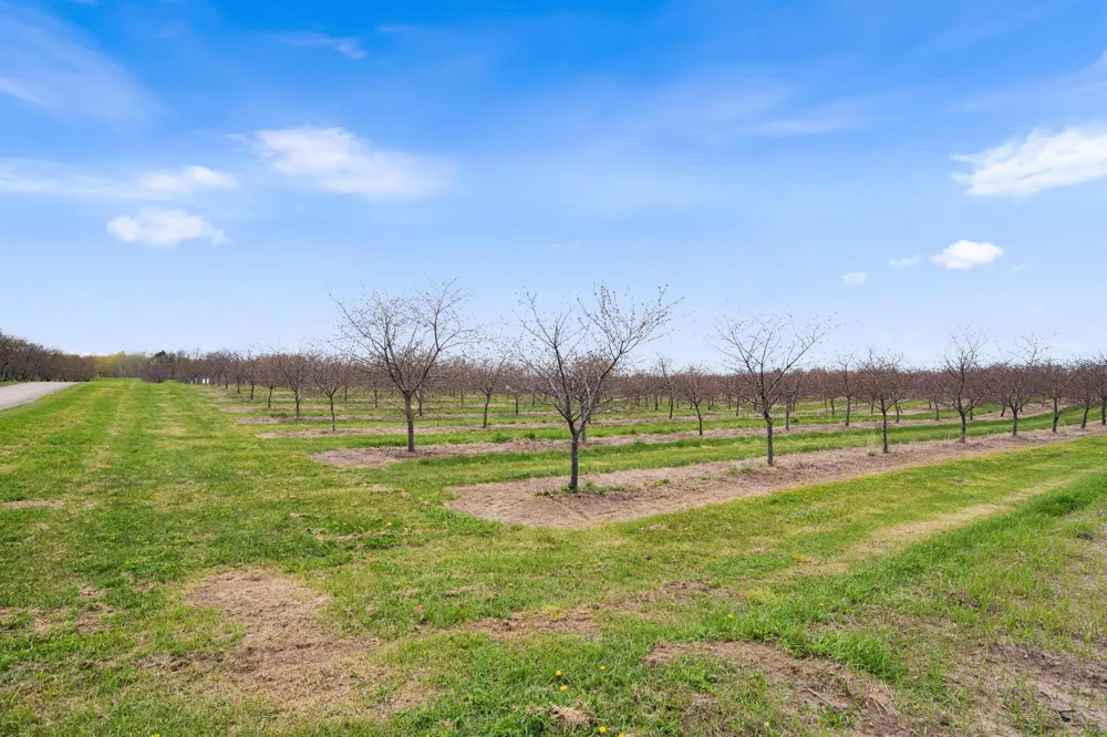 11751 Center Road Peninsula Township, MI 49686