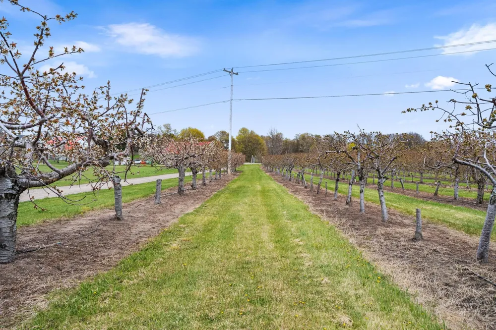 11751 Center Road Peninsula Township, MI 49686