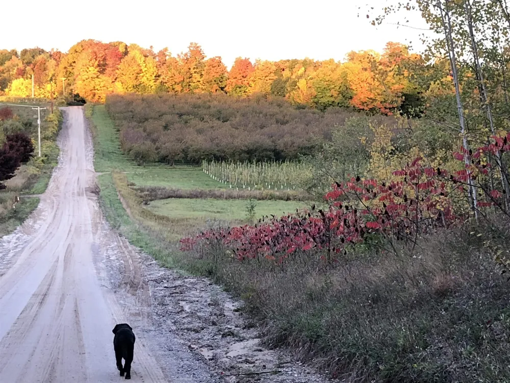 11751 Center Road Peninsula Township, MI 49686