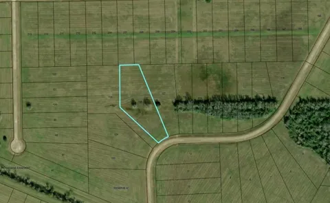 498 Brahman Trail
