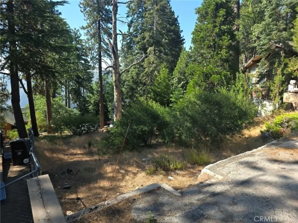 30778 Live Oak Running Springs, CA 92382