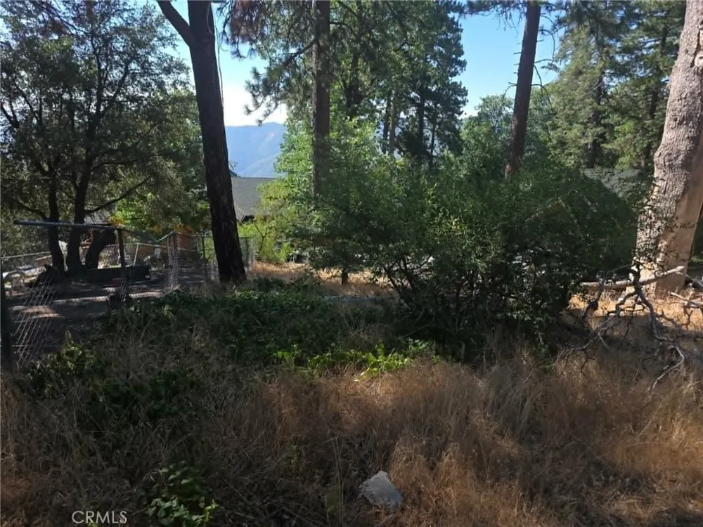 30778 Live Oak Running Springs, CA 92382