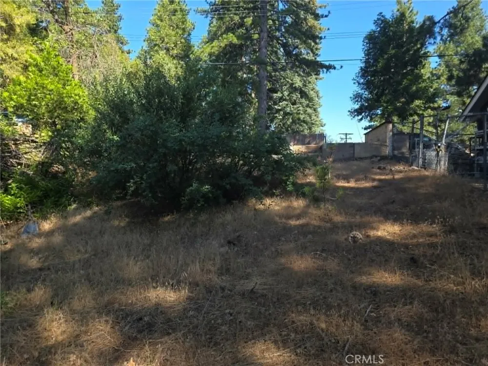 30778 Live Oak Running Springs, CA 92382