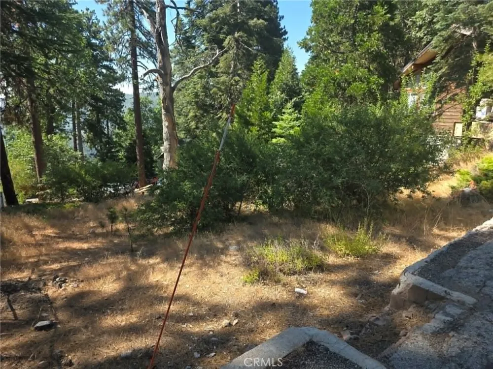 30778 Live Oak Running Springs, CA 92382