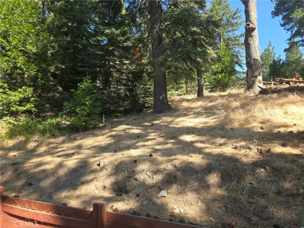 30778 Live Oak Running Springs, CA 92382