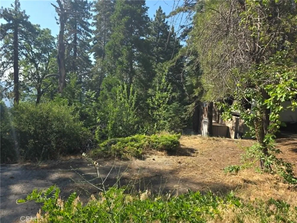 30778 Live Oak Running Springs, CA 92382