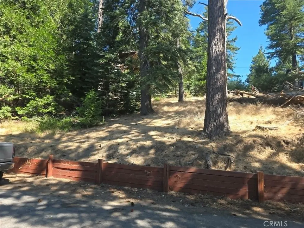 30778 Live Oak Running Springs, CA 92382