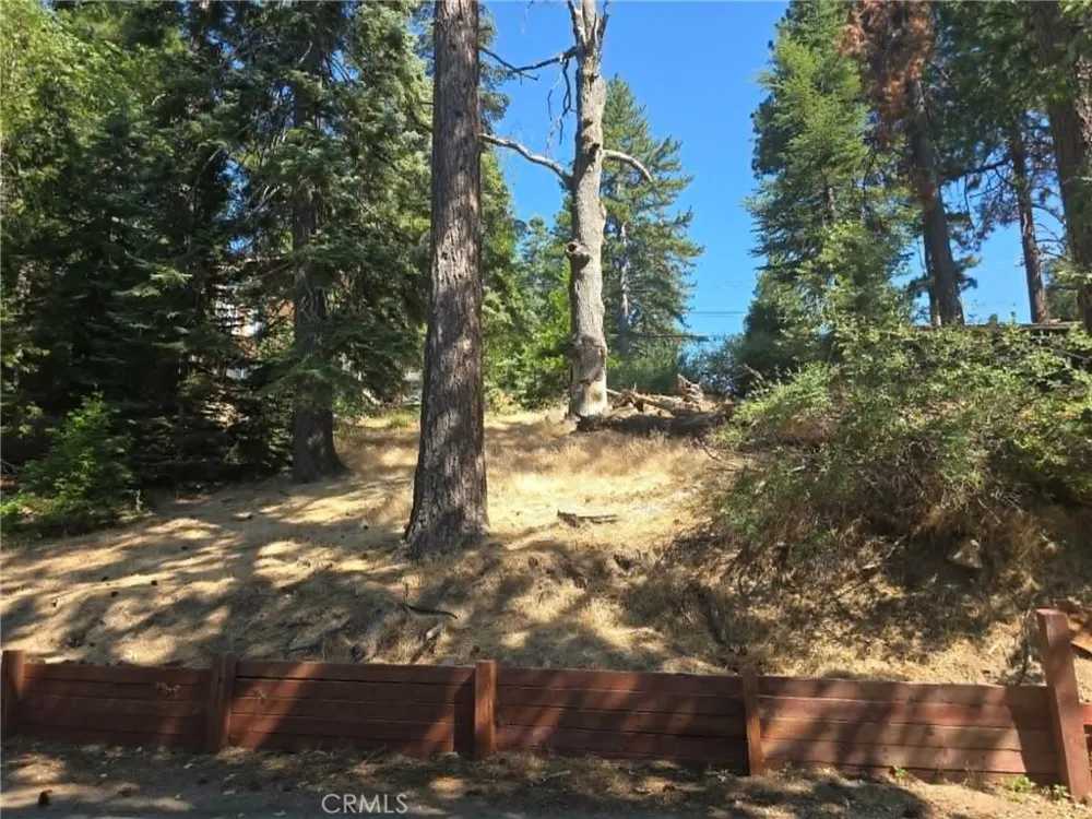 30778 Live Oak Running Springs, CA 92382